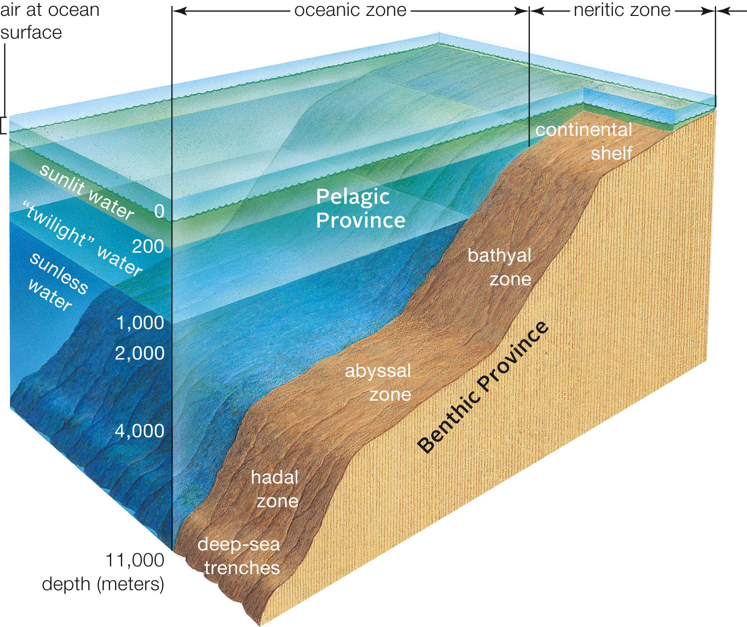 Zone dimensions are not drawn to scale. 