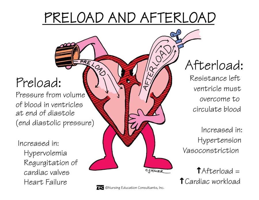 Preload and Afterload