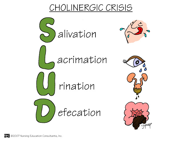 Cholinergic Crisis