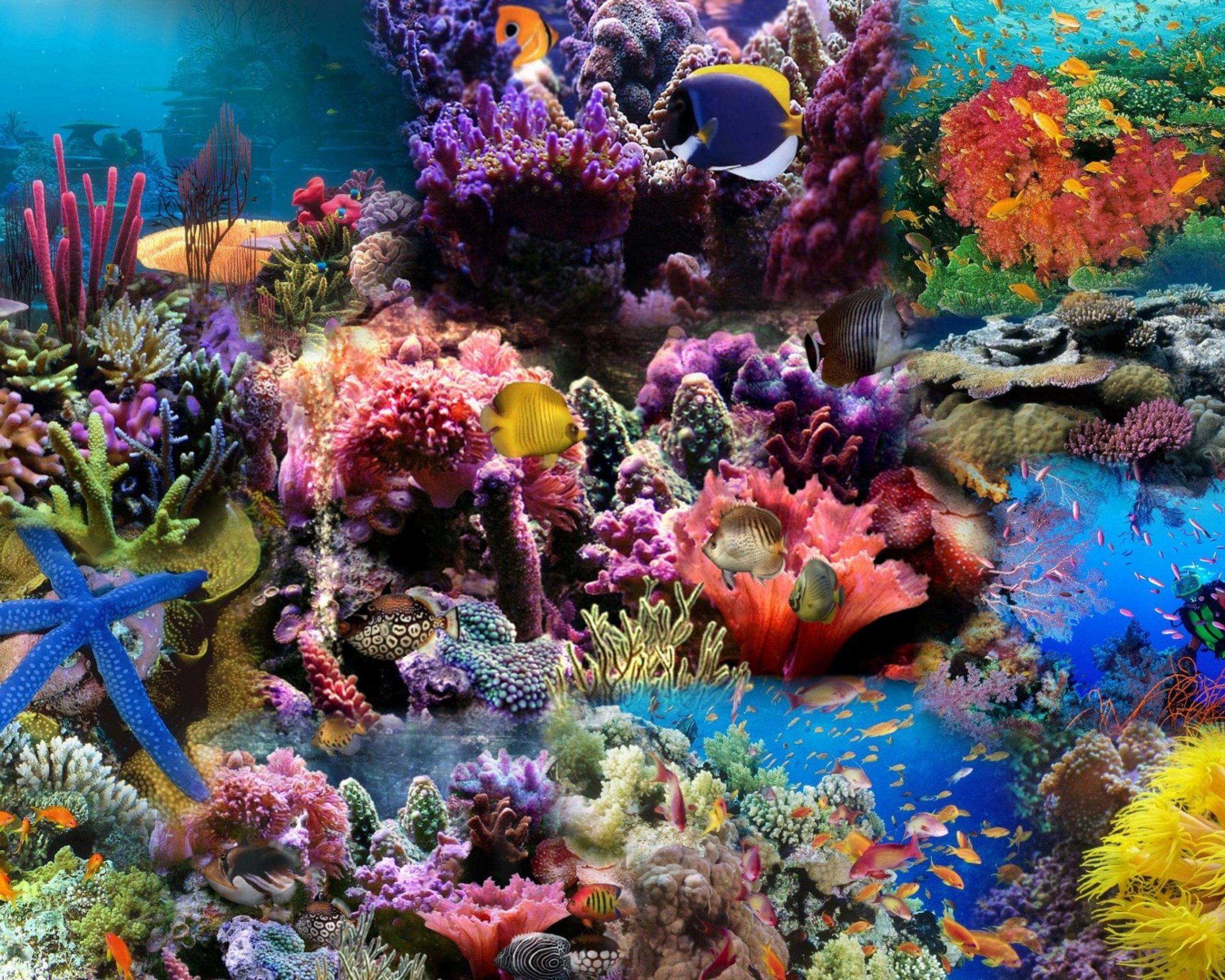 coral Reef