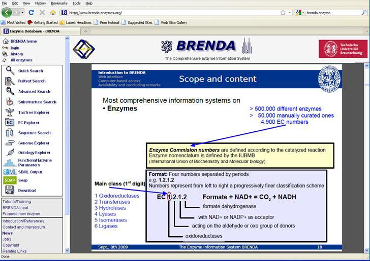 Get info on enzymes - brenda