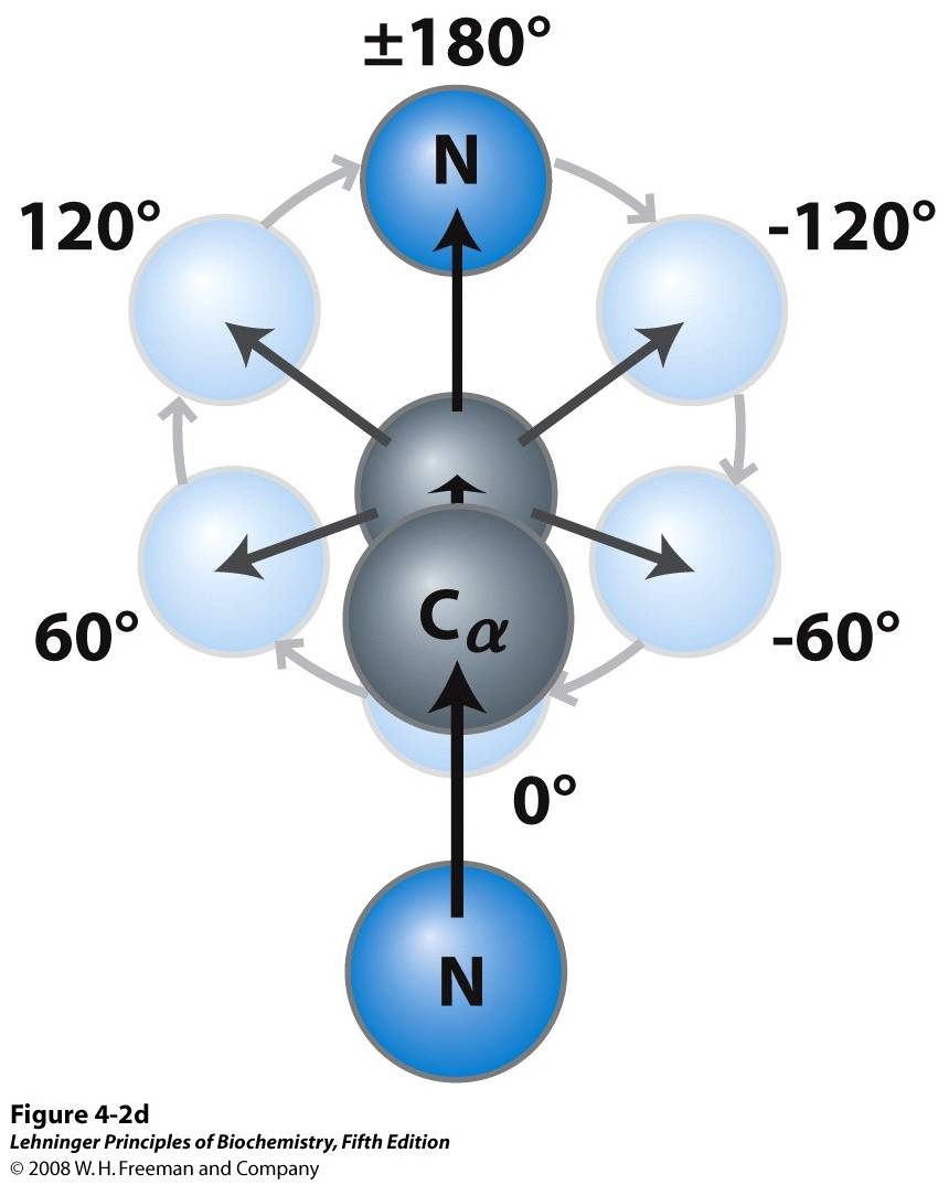 By convention, Φ and Ψ are 180° (or –180°)