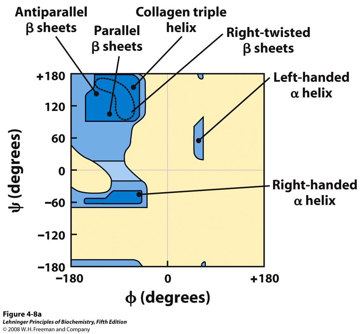 Ramachandran plots showing a variety of structures