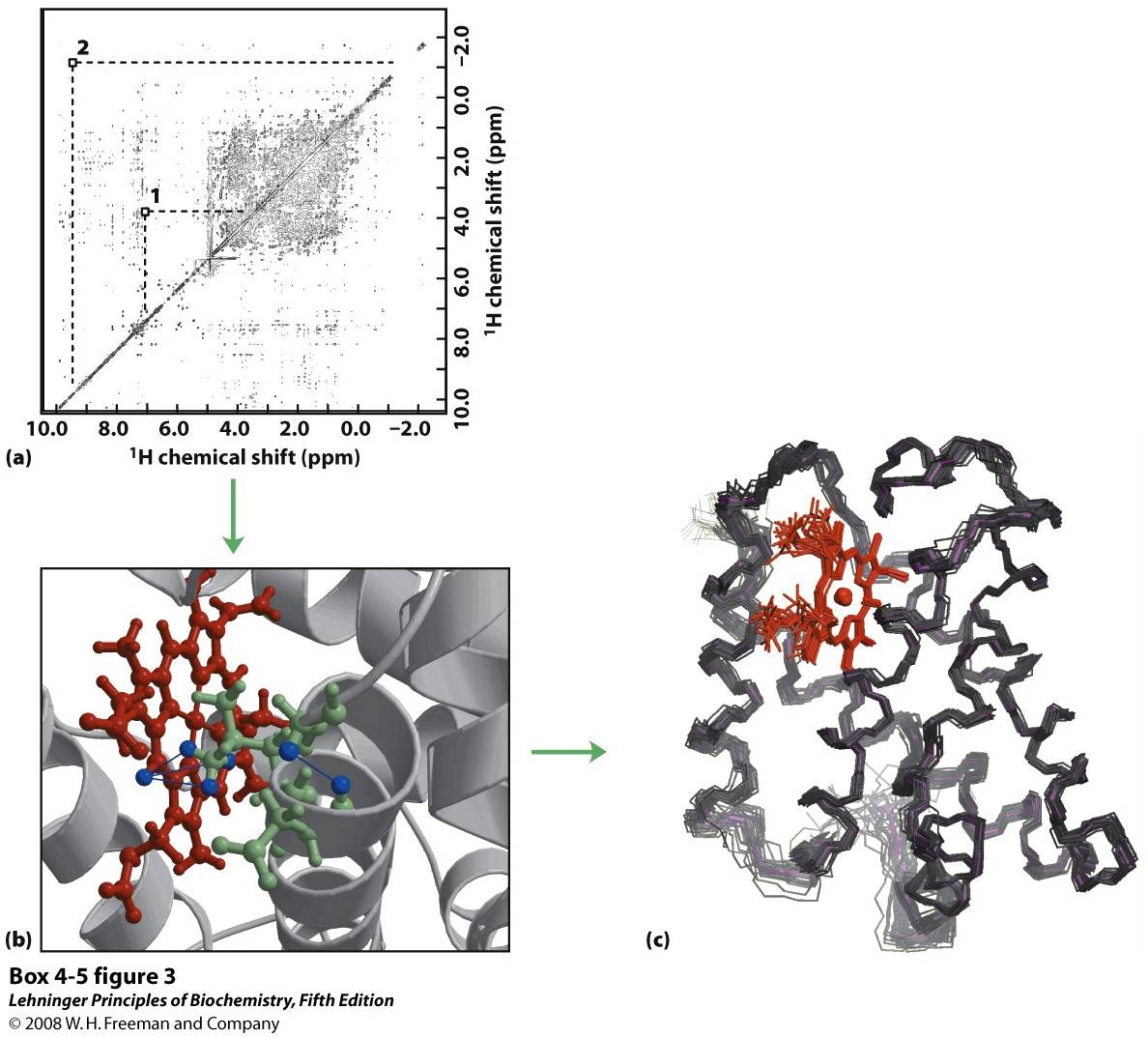 Use of two-dimensional NMR