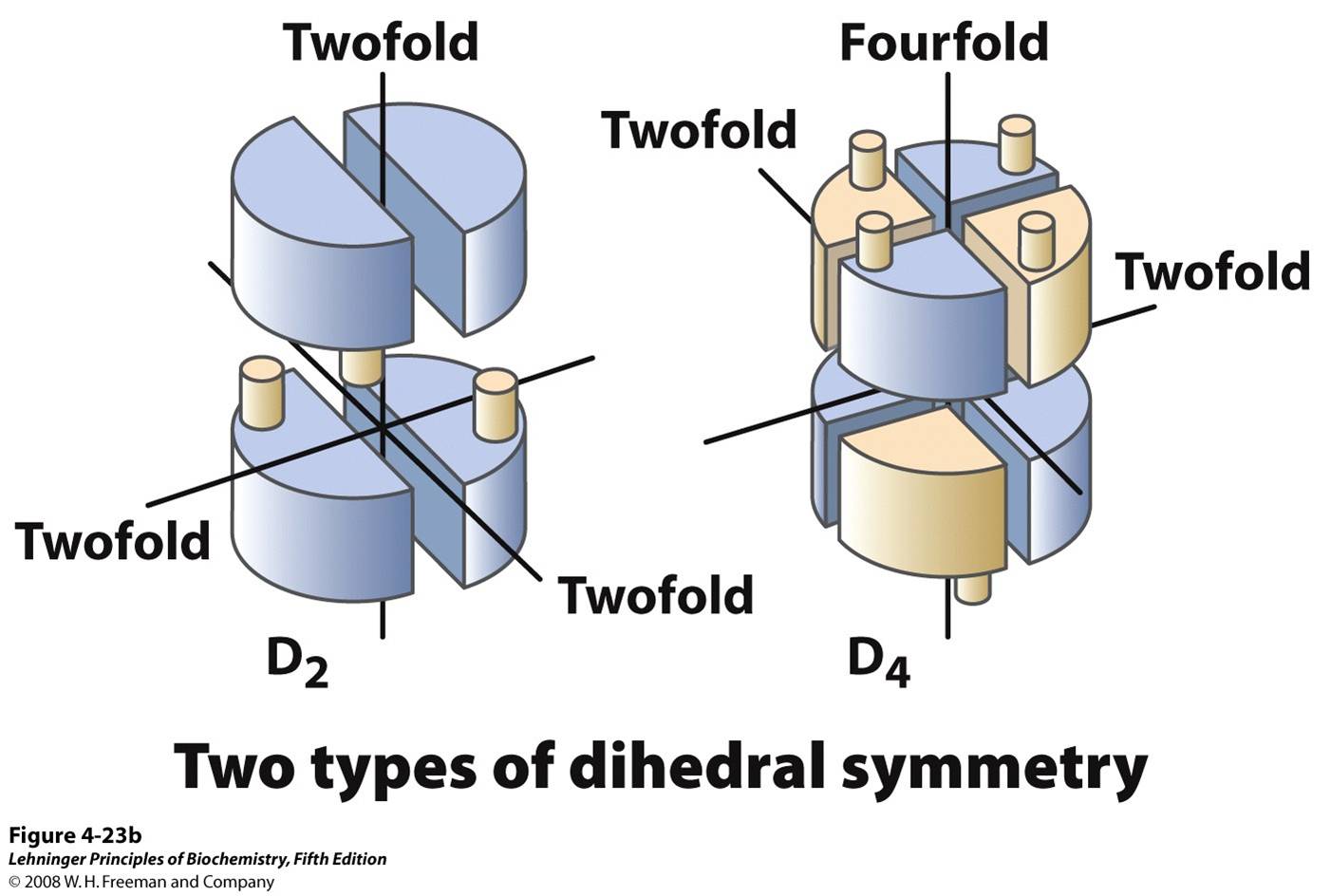 In dihedral symmetry, all subunits can be related by rotation