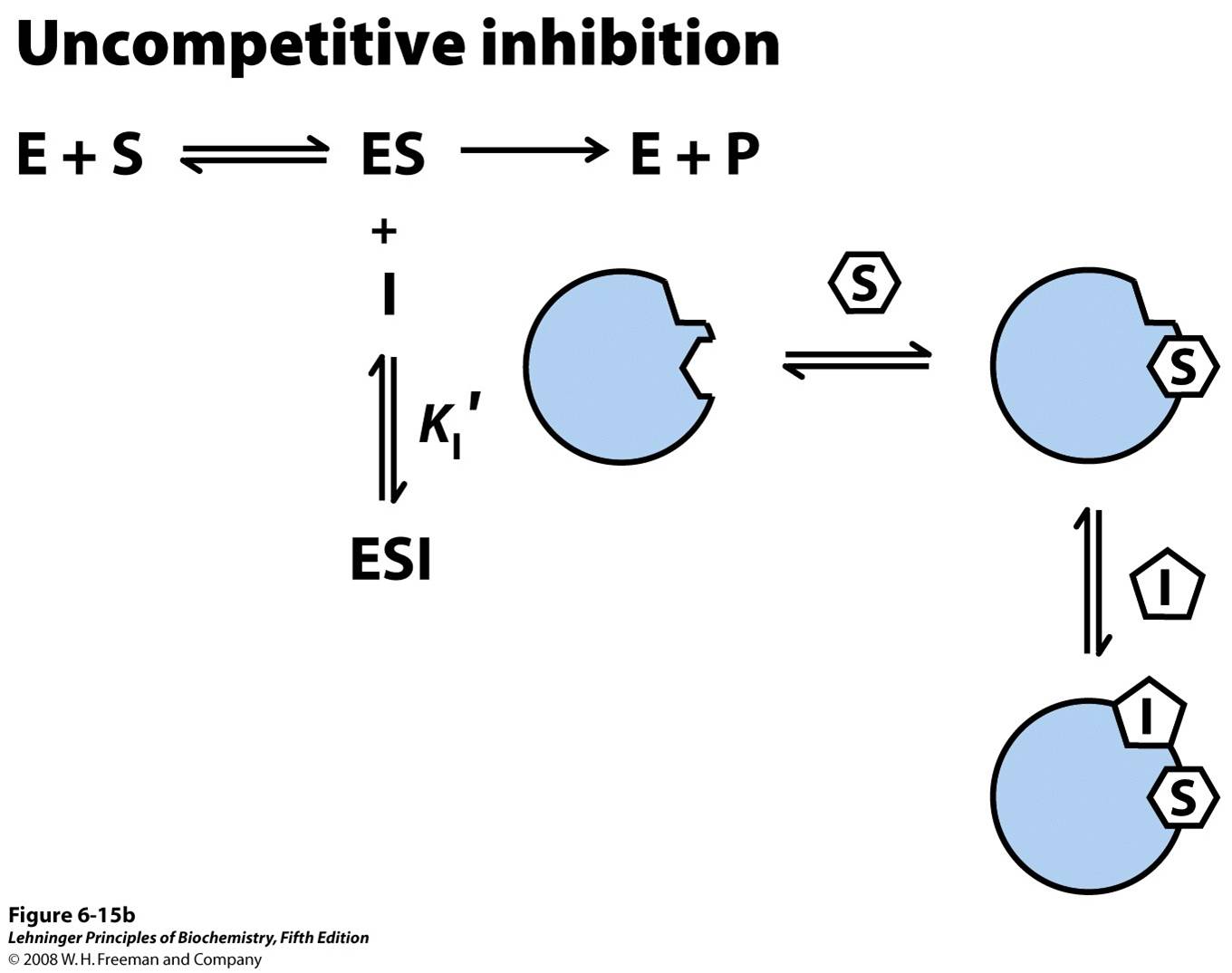 Three types of reversible inhibition