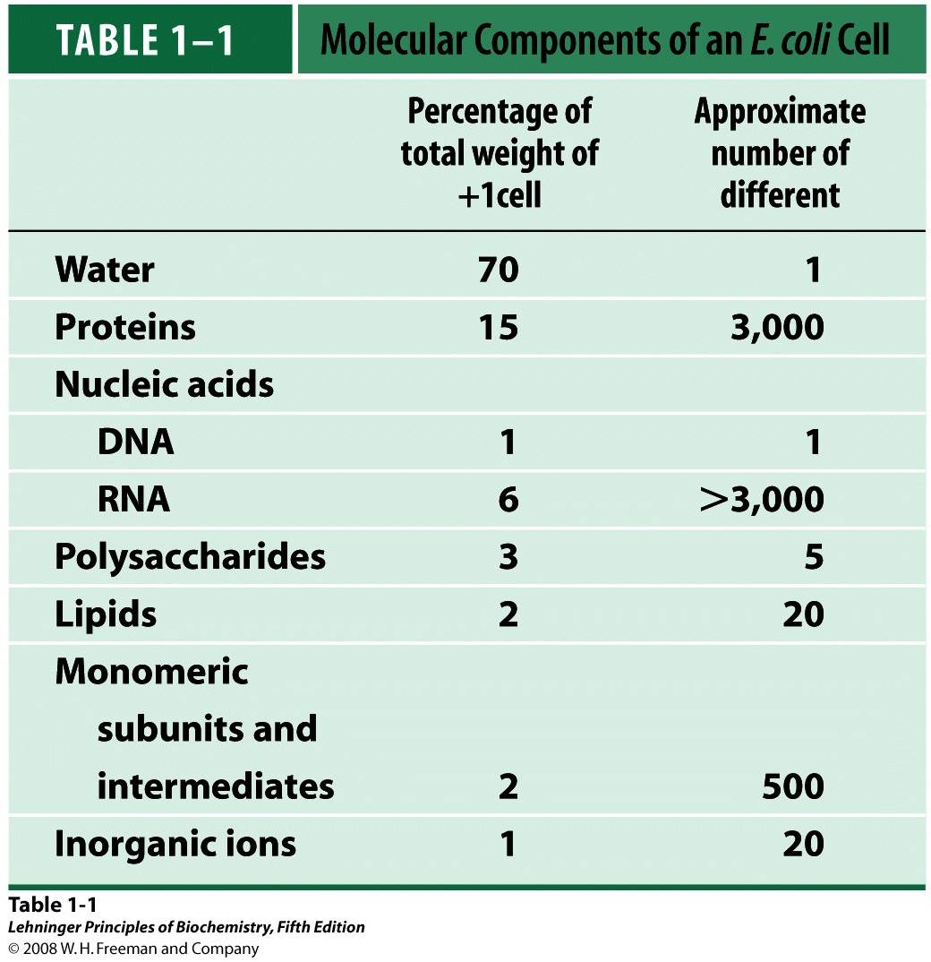 Components of E.coli