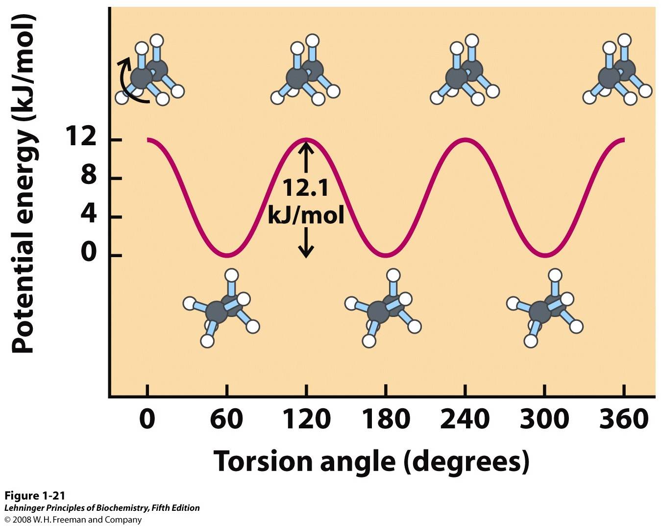 Conformations