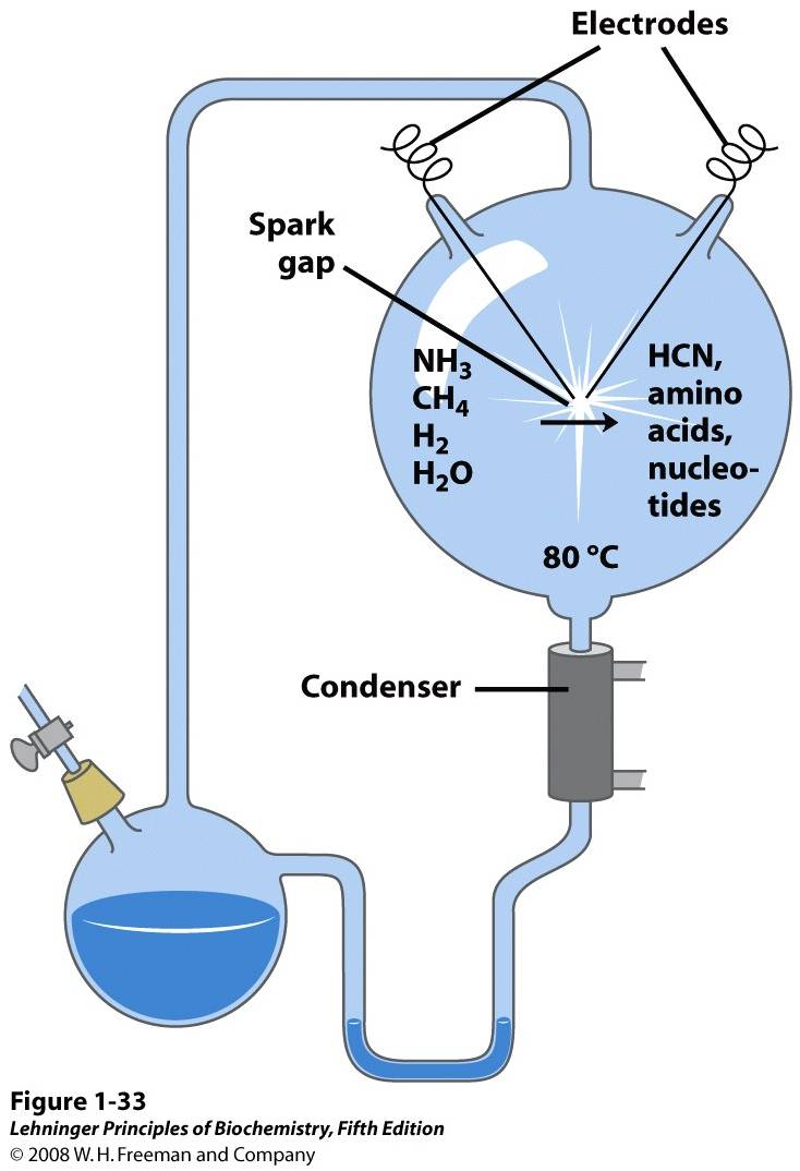 Abiotic production of biomolecules