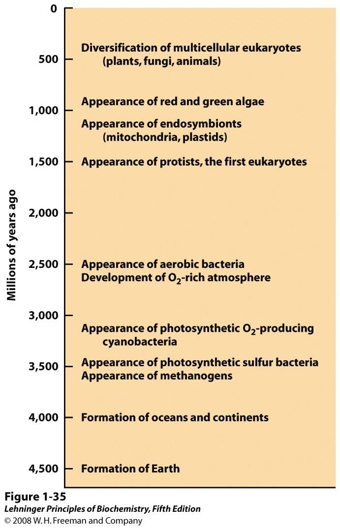 Landmarks in the evolution of life on Earth