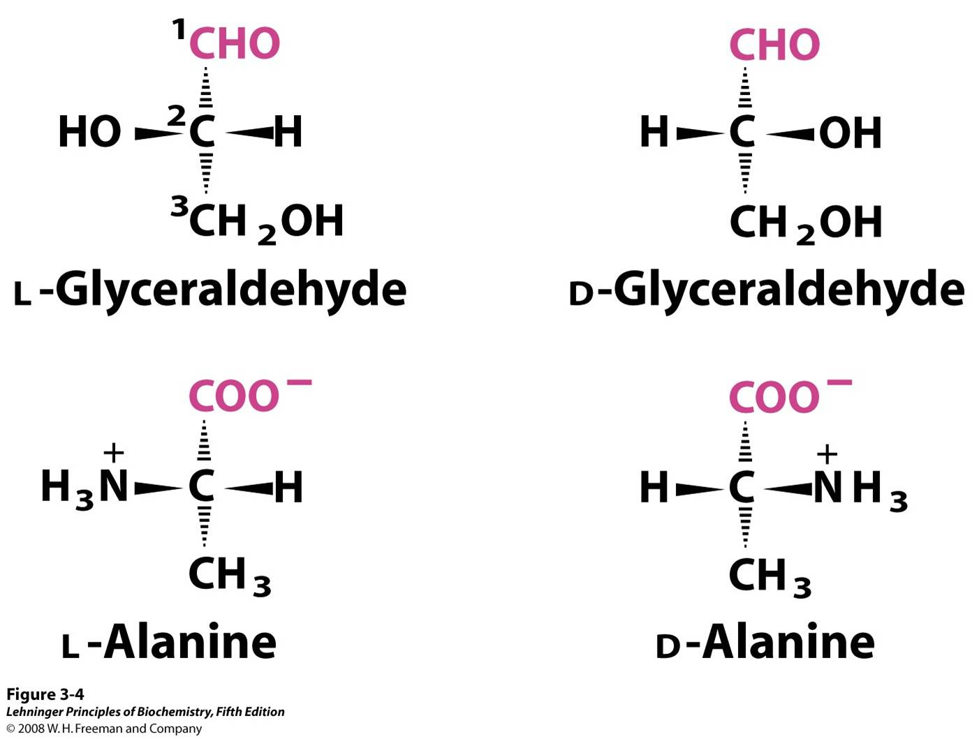 Steric relationship of the stereoisomers of alanine to the absolute configuration of L