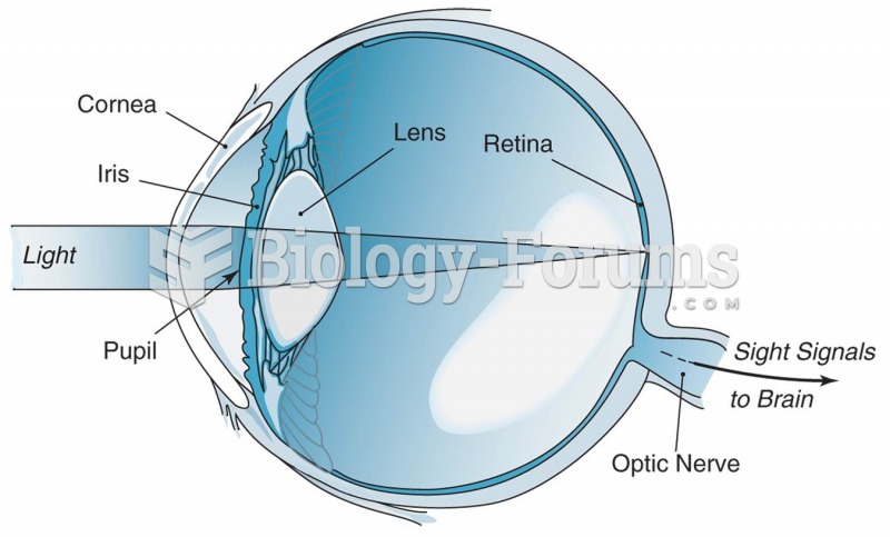 Cross-section view of the human eye.