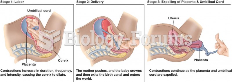 The Three Stages of the Birth Process   