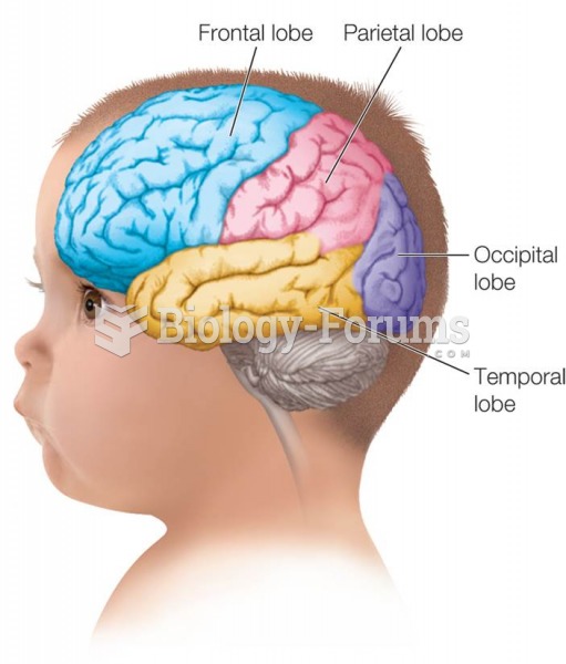 Lobes of the Brain  