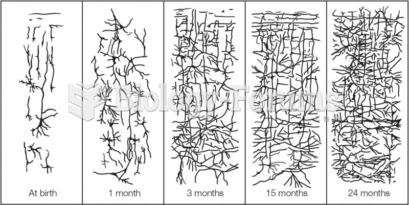 Changes in Synaptic Density From Birth to Age 2  Synaptic connections increase throughout the first 