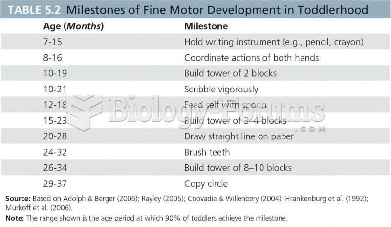 Milestones of Fine Motor Development in Toddlerhood 