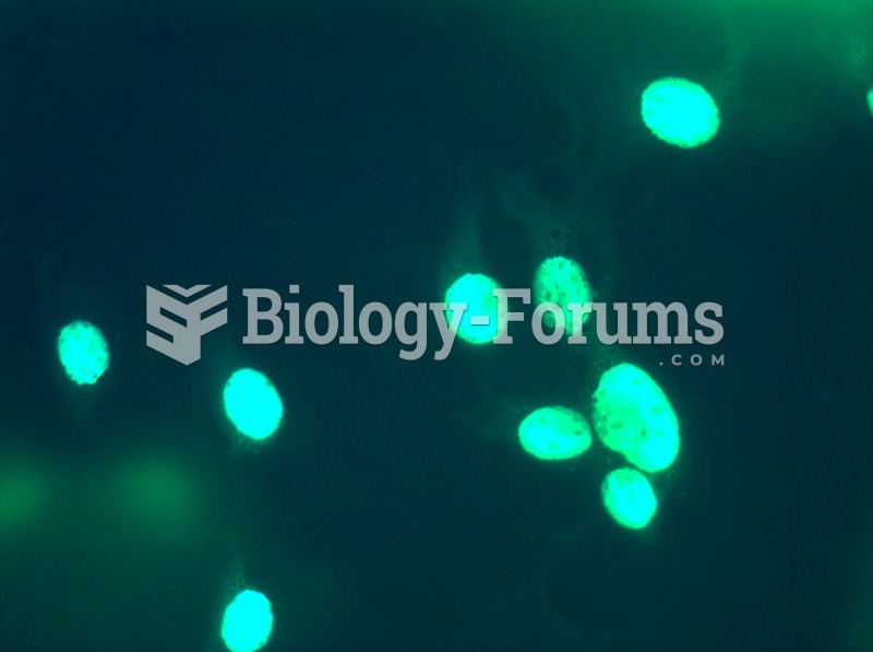 Emerged Fibroblast cells