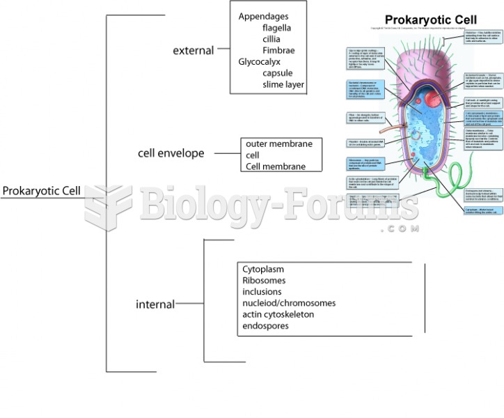 Prokaryotic cell structure