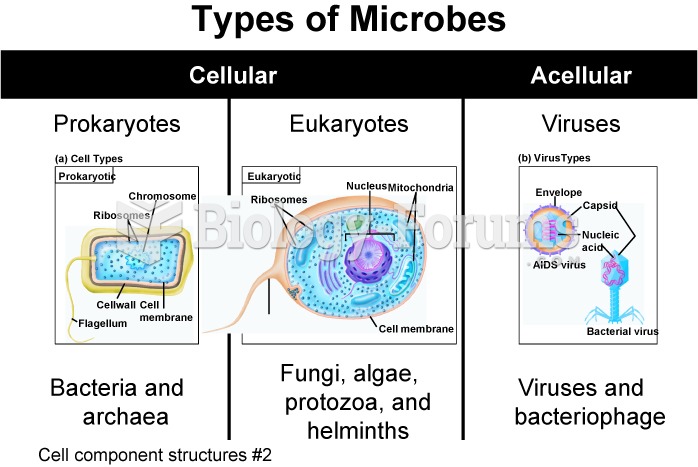 Types of Microbes