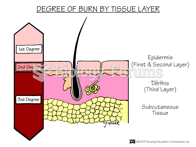 Burn Degree By Tissue Layer