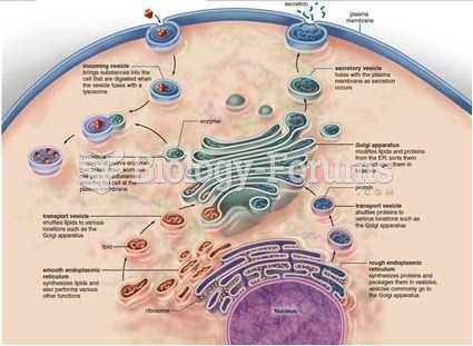 Endomembrane system
