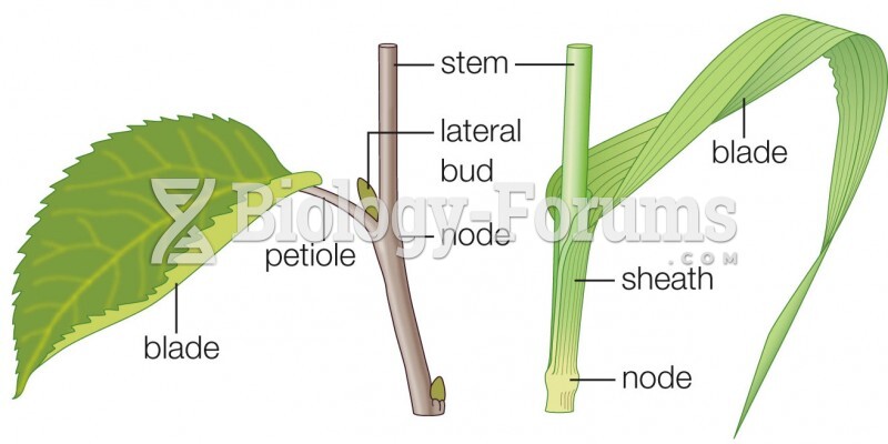 Typical leaf structure of eudicots (left) and monocots (right).
