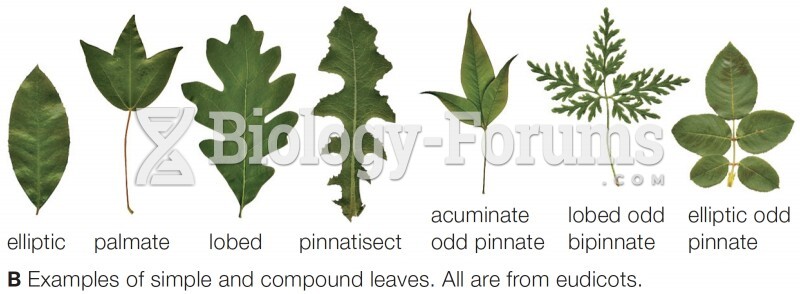 Simple and Compound Leaves