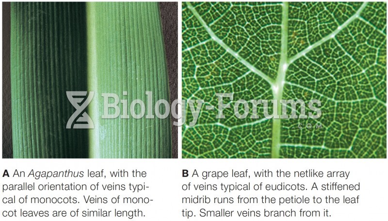 Typical vein patterns in eudicot and monocot leaves