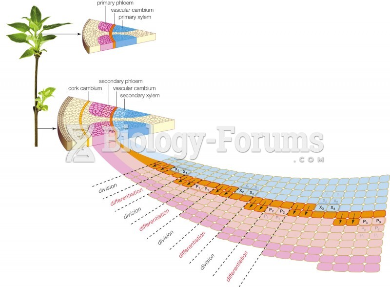 Secondary growth