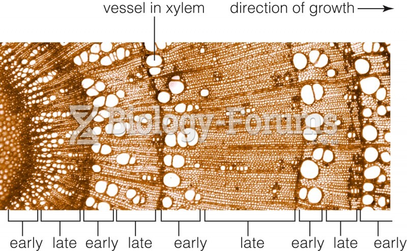 Structure of a woody stem