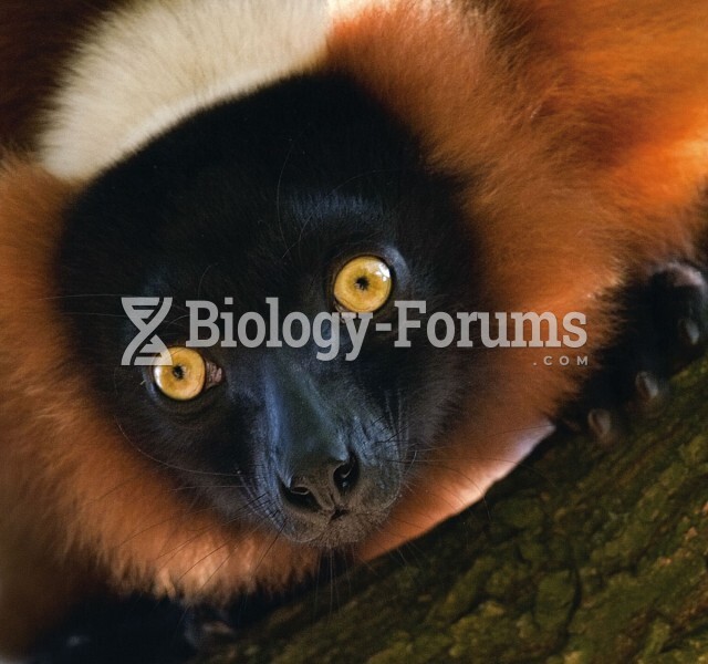 Nonanthropoid Primates: Lemur