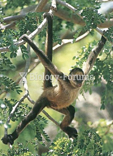 Nonanthropoid Primates: New World Monkey