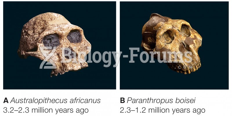 Two australopith skulls