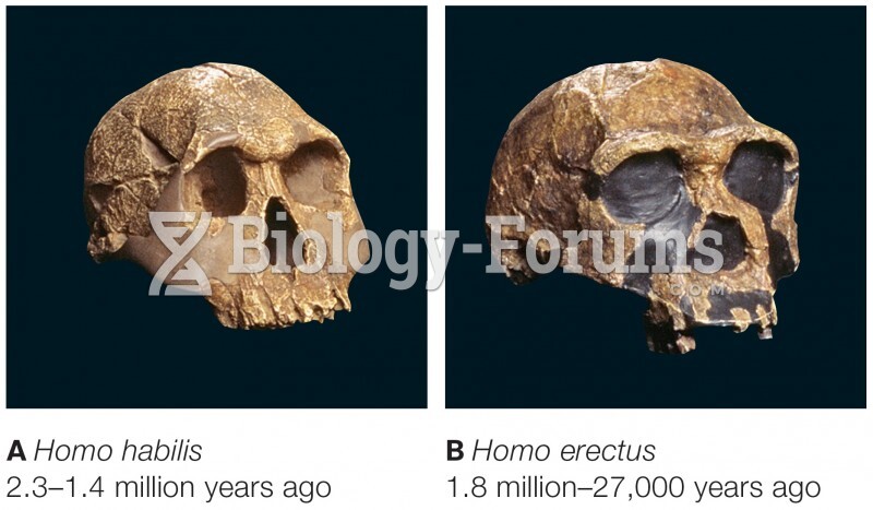 Two early Homo skulls