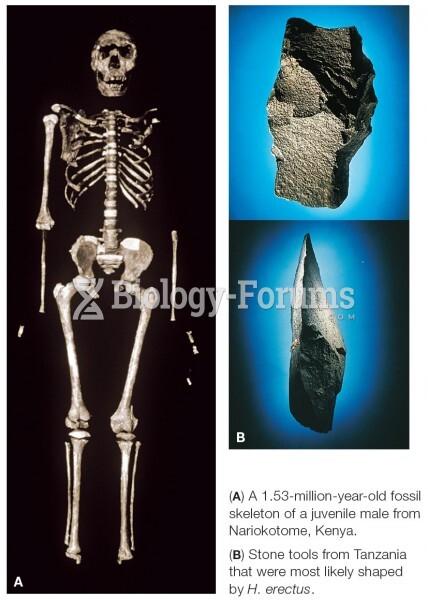 Homo erectus and Stone Tools