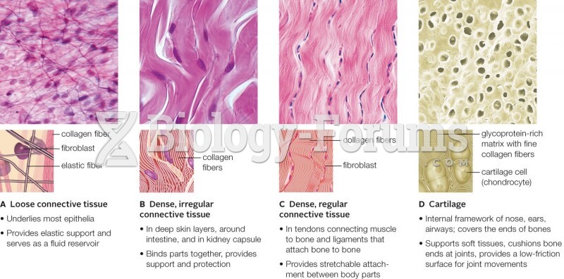 Loose Connective Tissue