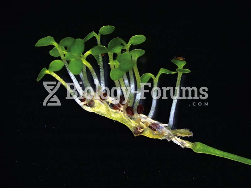 Premature Germination Without ABA