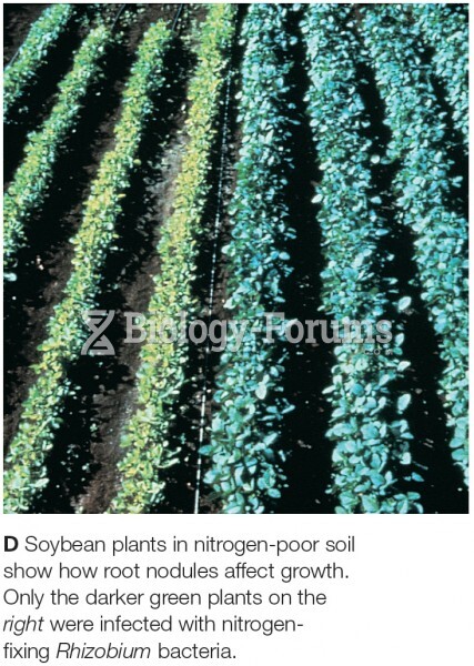 Soybean plants in nitrogen-poor soil show how root nodules affect growth. Only the darker green plan