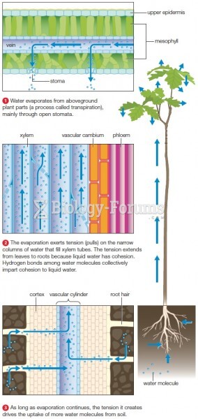 Cohesion–tension theory of water transport in vascular plants