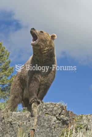 Grizzly bear roaring