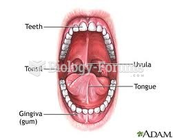Oral Anatomy