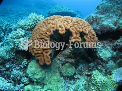 Coral in the Pacific Ocean