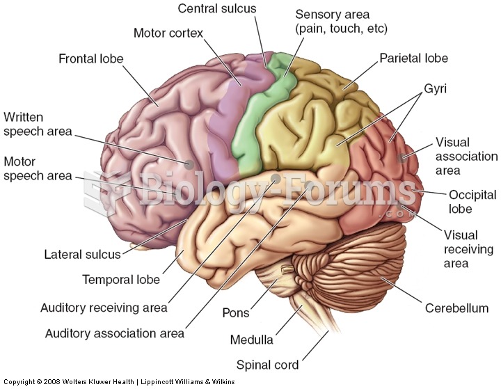 The Brain and It's Structures