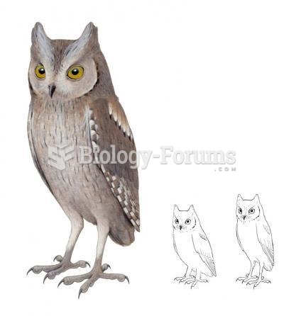 European scops owl and the extinct Otus mauli species from Madeira.