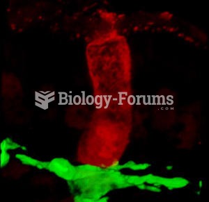 Goblet cells that line the intestine