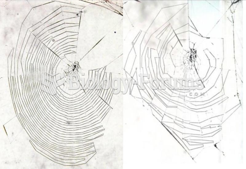 Left: This web was woven by a 17-day-old spider, showing regular patterns. Right: This web was woven