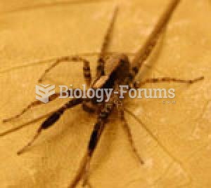 Male wolf spiders