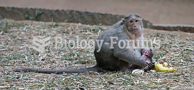 Young macaques are breastfed by their mothers