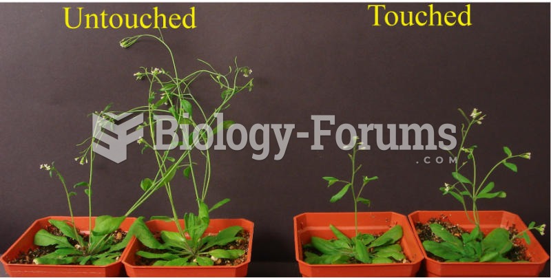 Arabidopsis plant growth is affected by touch.