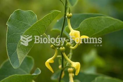 Aristolochic acid (AA), a component of birthwort,a plant used in herbal remedies since ancient times